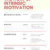 Influences of Extrinsic Motivation Techniques