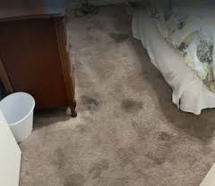 area rug cleaning kingsland ga