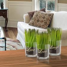 Artificial Sprout Glass Vase