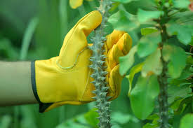 gf gardening leather work gloves cut