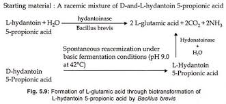 L Glutamic Acid Effects And Production By Fermentation