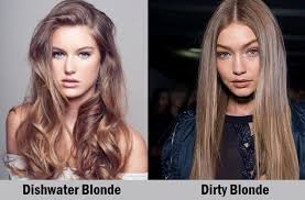 Mix your blonde hair dye in a bowl: 5 Majestic Dishwater Blonde Hairstyles Hairstylecamp
