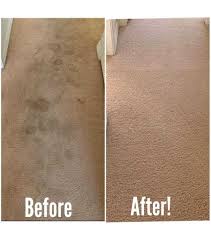 pet stain carpet cleaning and odor