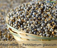 pearl millet facts and health benefits