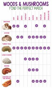How To Grow Mushrooms At Home Gardeners Path