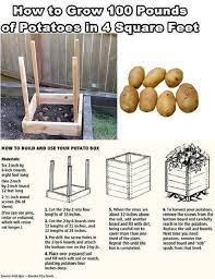 Commercial growing bags are made with heavy, dense polypropylene. Imgur Com Potato Gardening Homesteading Diy Projects Growing Vegetables