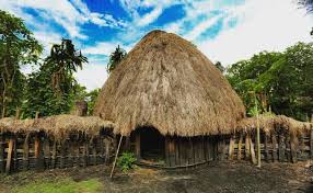 Rumah adat jawa tengah masyarakat suku jawa mengenal beragam desain hunian dalam. 620 Rumah Adat Papua Dan Gambarnya Terbaik Gambar Rumah