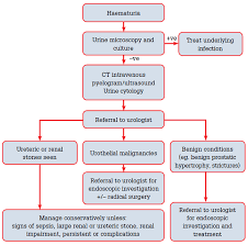 Racgp Macroscopic Haematuria A Urological Approach