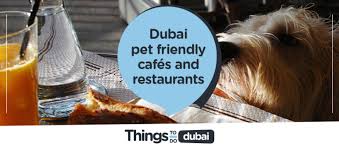 And, at least to me, seemingly decreased the fig filling while increasing the whole wheat crust. Dubai Pet Friendly Cafes And Restaurants Things To Do Dubai