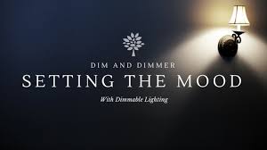 Dim Light Bulbs And Dimmable Lighting