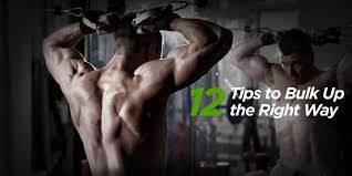 how to maximize muscle growth and