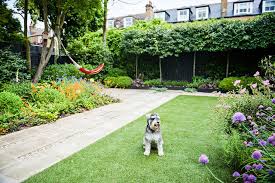 Dog Friendly Backyard