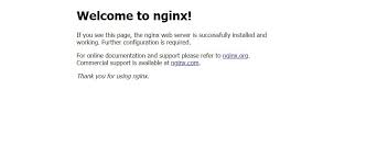 welcome to nginx aapanel hosting