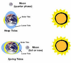 Interesting Facts About Tides And Uses Of Tidal Energy