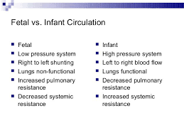 Fresh Fetal Station Chart Cooltest Info