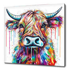 Highland Cattle Cow Colourful