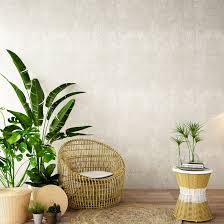 brighten up your home with indoor plants