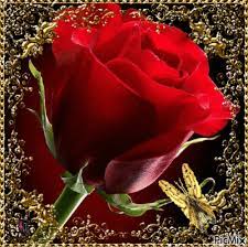 ♡ For you ♡ | Beautiful flowers, Beautiful roses, Beautiful gif