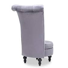 Check spelling or type a new query. Paddie Throne Chair Tufted Vanity Chair Velvet Accent Chair Royal High Back Wing With Storage For Bedroom Living Room Dark Grey Pricepulse
