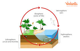 biosphere learn important terms and