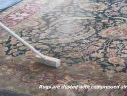 master rug cleaners lowcountry clean