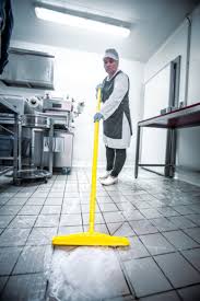 hygienic floor squeegee w replacement