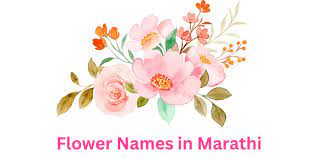 list of 40 flowers name in marathi