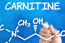 L Carnitine gerçekten işe yarıyor mu?