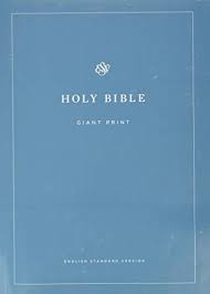 Available for both ios and android . Pdf Download Esv Economy Bible Giant Print By Unknown