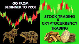 Trading platforms on the exchanges look very similar to brokerage platforms. Stock Trading Bitcoin Cryptocurrency Trading Technical Analysis Beginner To Pro Kundai Dzawo Investing Trading Skillshare