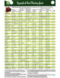 41 Valid Companion Vegetable Planting Guide Chart