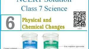 ncert solutions for cl 7 chapter 6
