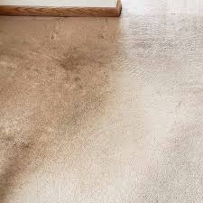 ace chem dry carpet cleaning