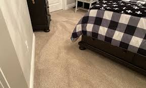 green eco carpet cleaning power