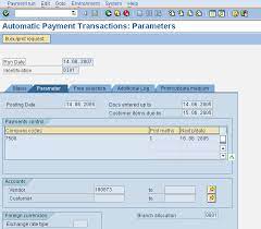 automatic payment program in sap sap