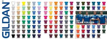 Gildan Shirt Color Chart Irfandiawhite Co