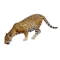 jaguar free png image hq png