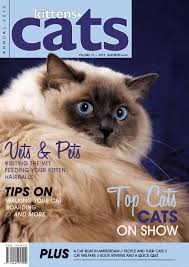 Usadolls ragdolls is a usa ragdolls doll face cattery. Kittens Cats Annual Volume 11 2012 By Vink Publishing Issuu