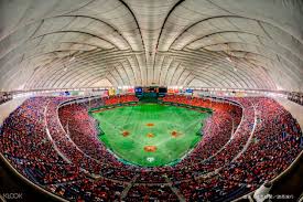 Tokyo Yomiuri Giants Baseball Match Ticket