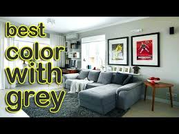best color with grey home decor ideas