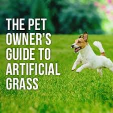 the pet owner s guide to artificial gr