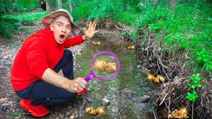 If you have a stream running through anyone that wants to know how to find gold in your backyard should prepare, it wont be a full on gold rush. Abandoned Gold Mine Found In Sharer Fam Backyard Youtube