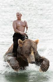 Actual footage of amazing leader vlad putin fighting evil american bear pig swine in fight promo from glorious motherland russia Putin Bear Album On Imgur