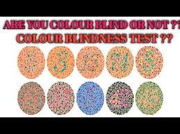 colour blind test colour vision test