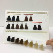 Hot Item Removable Hair Color Swatches Hair Color Cream Chart