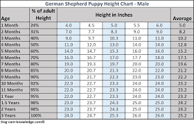 german shepherd puppy weight chart