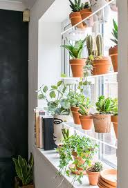 20 Practical Indoor Window Garden For