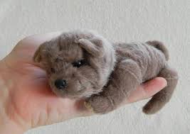 miniature puppy shar pei shanli by