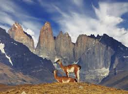 Résultat de recherche d'images pour "Torres del Paine Chili"