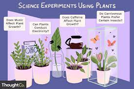 science experiments using plants